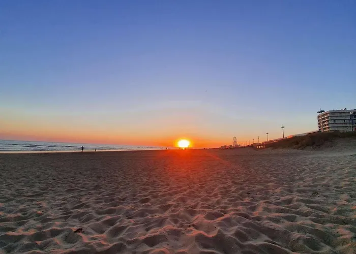 Apartamento Sh230-042 - 2 Pieces 5 Couchages - Saint Hilaire De Riez Saint-Hilaire-de-Riez